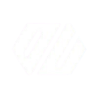 Logo de Double V Partners - Experiencia profesional de Juan Sebastian Ramirez (JSRamirez)