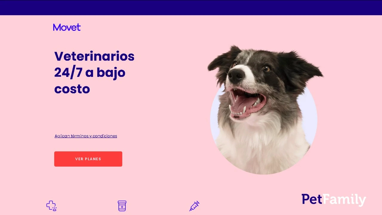 Movet - Proyecto de Juan Sebastian Ramirez (JSRamirez) - Desarrollo Full-Stack de un sistema integral de telemedicina veterinaria, diseñado para facilitar consultas y servicios médicos remotos para mascotas.